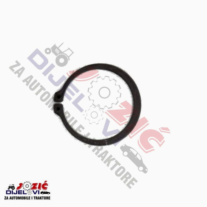 Daisy on the Ohoopee