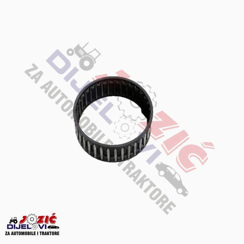 Daisy on the Ohoopee