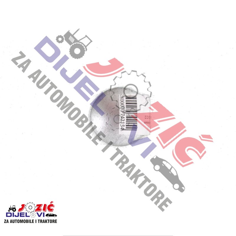 Daisy on the Ohoopee