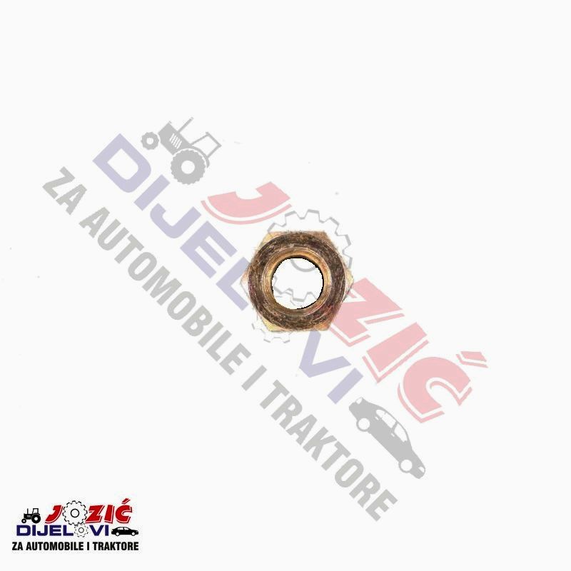 Daisy on the Ohoopee