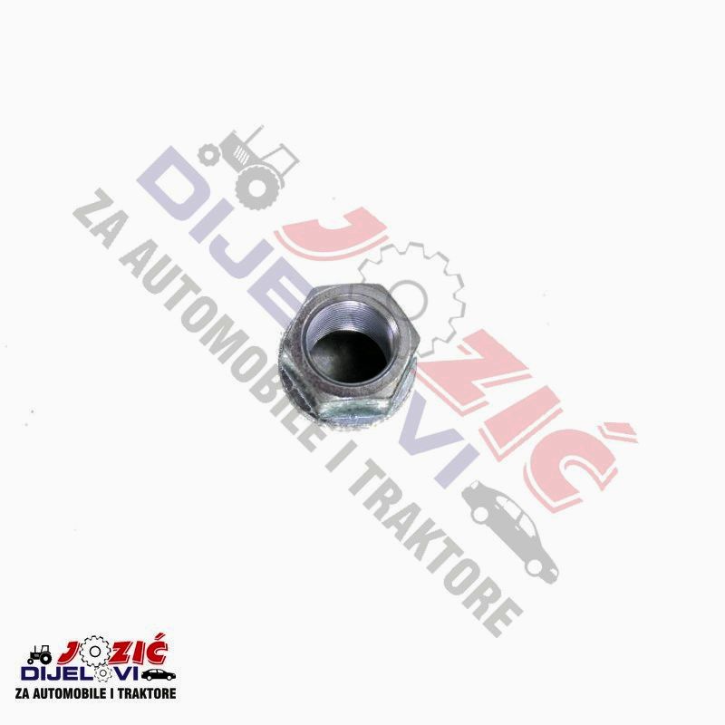 Daisy on the Ohoopee