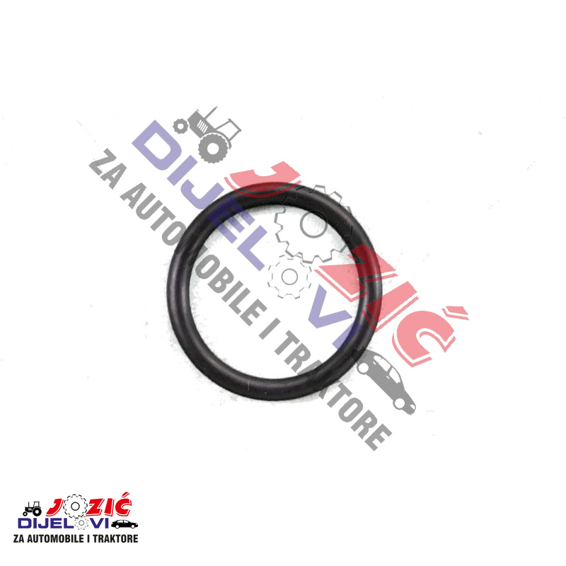 Daisy on the Ohoopee