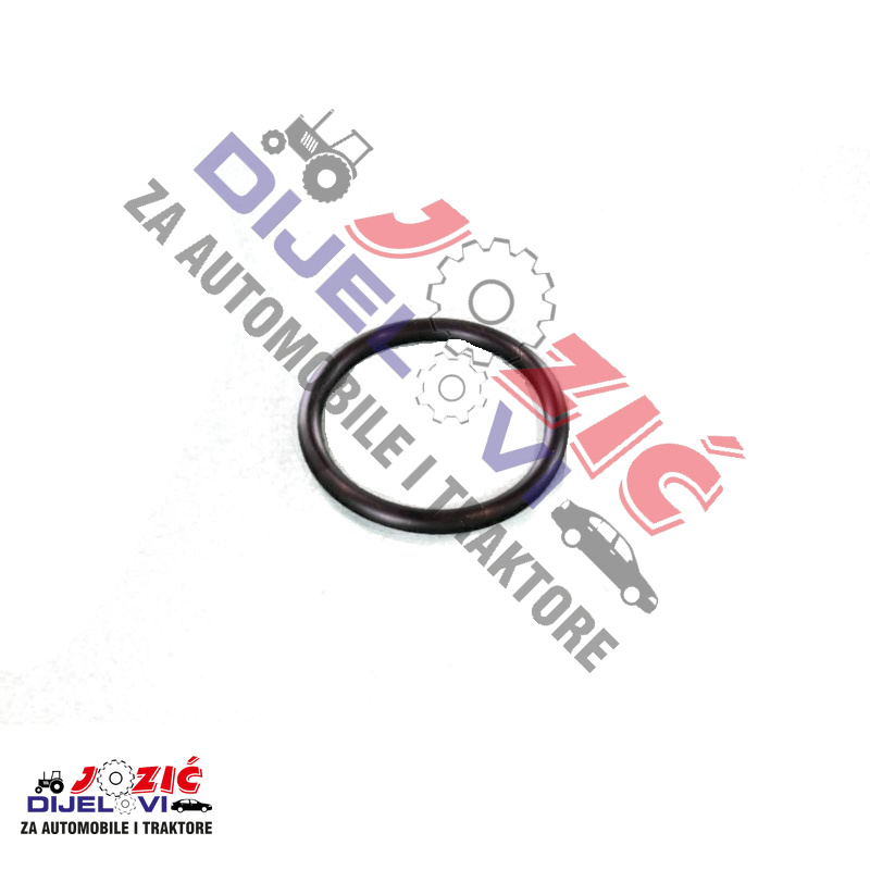 Daisy on the Ohoopee