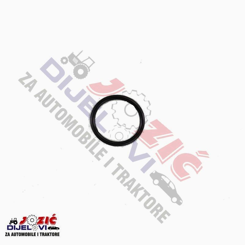 Daisy on the Ohoopee