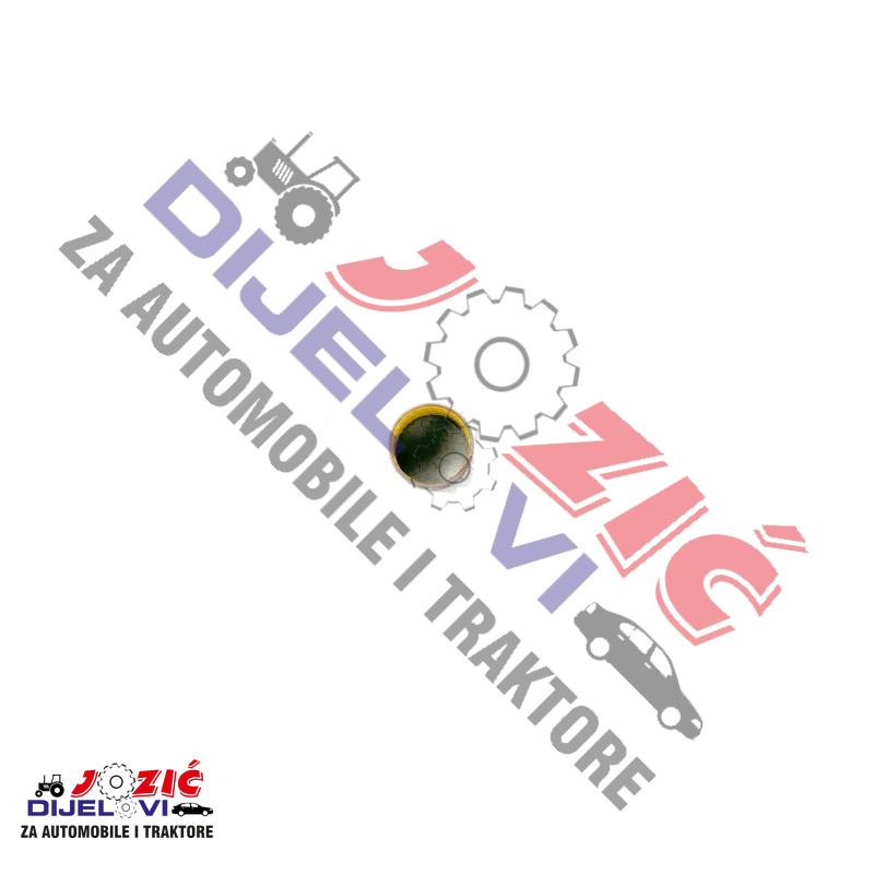 Daisy on the Ohoopee