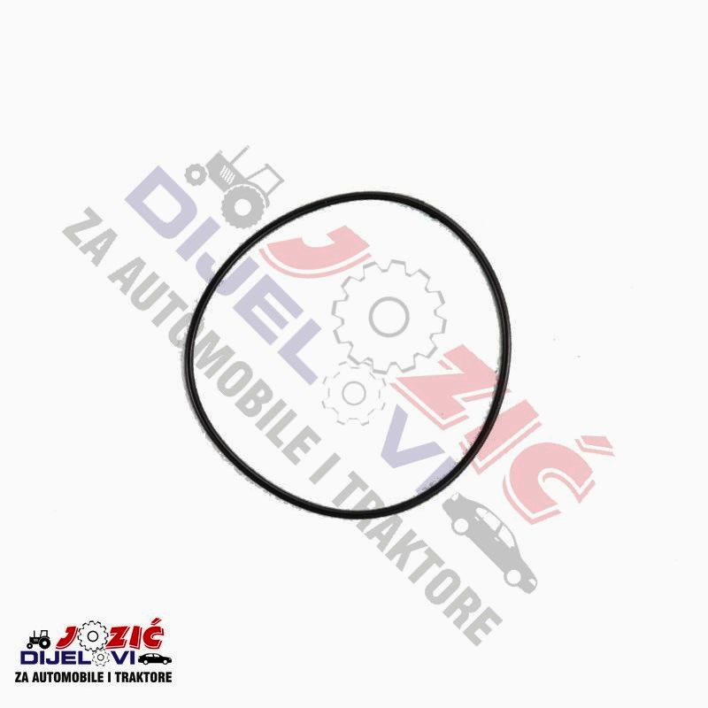 Daisy on the Ohoopee