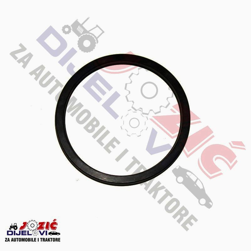 Daisy on the Ohoopee