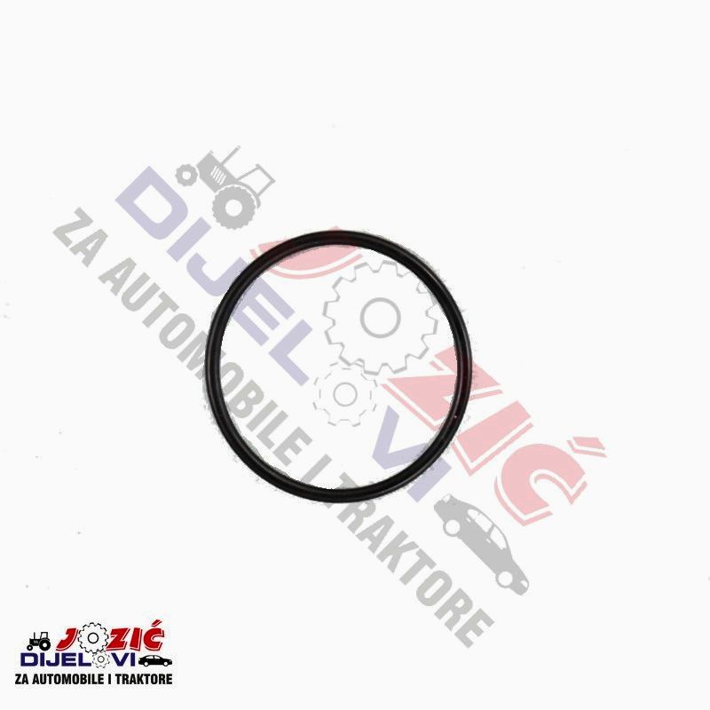 Daisy on the Ohoopee