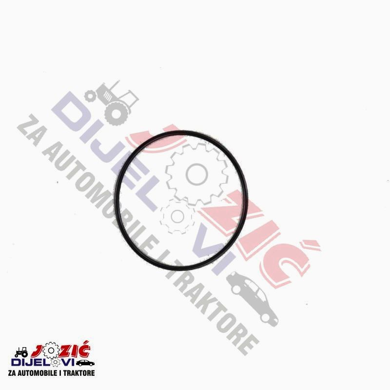 Daisy on the Ohoopee