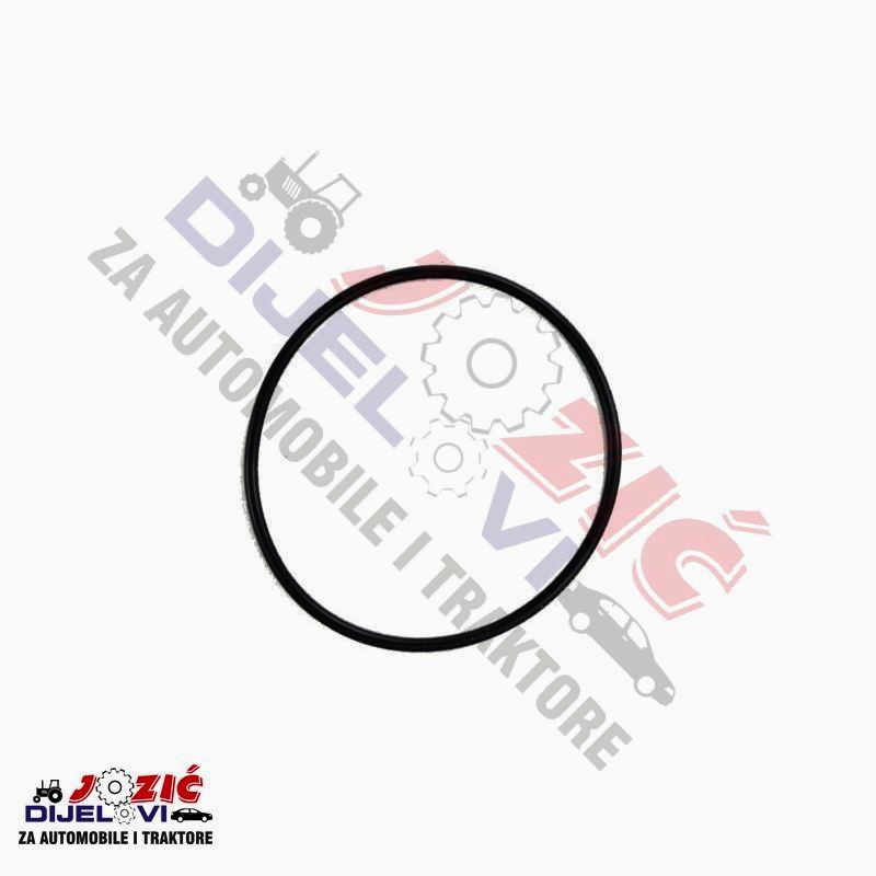 Daisy on the Ohoopee