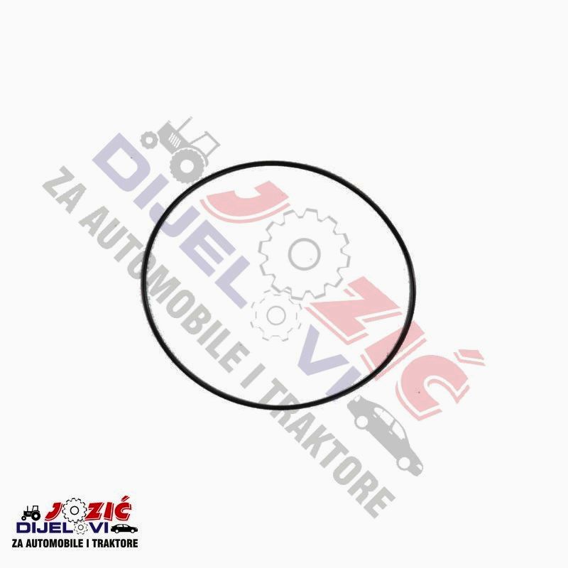 Daisy on the Ohoopee