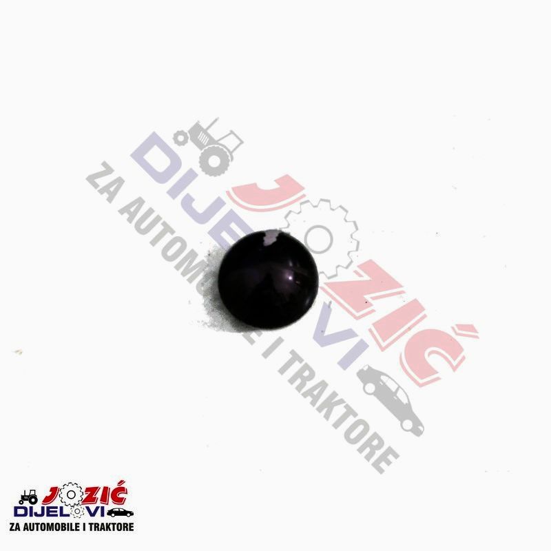 Daisy on the Ohoopee