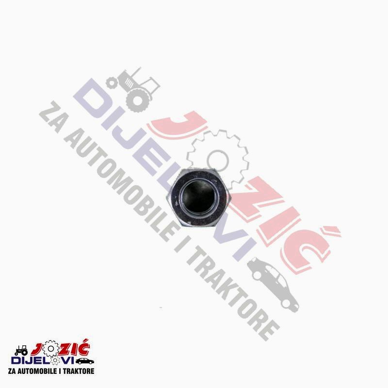 Daisy on the Ohoopee