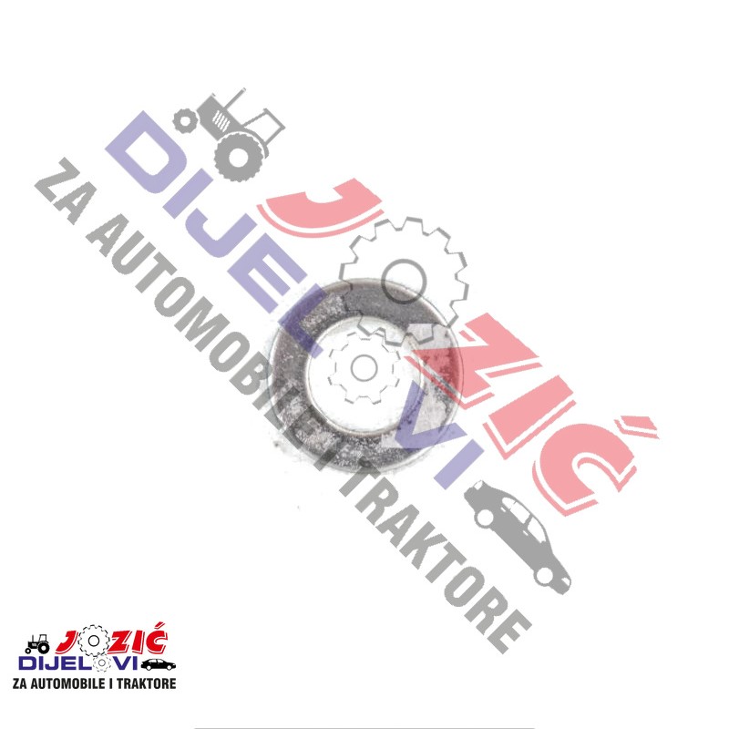 Daisy on the Ohoopee