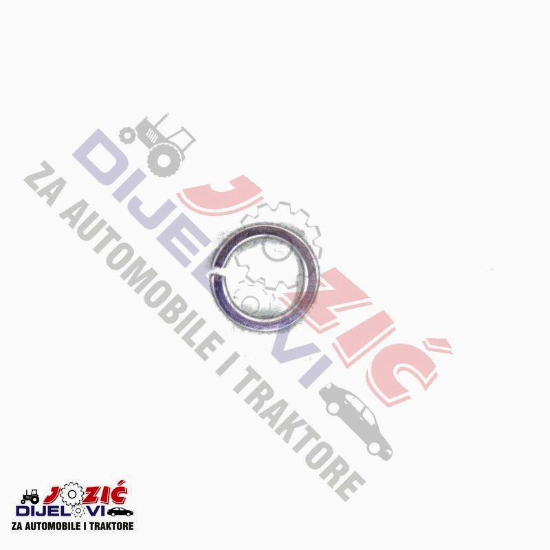 Daisy on the Ohoopee