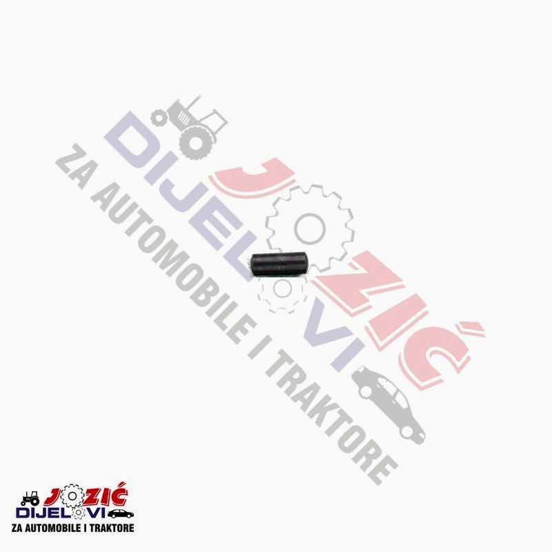 Daisy on the Ohoopee