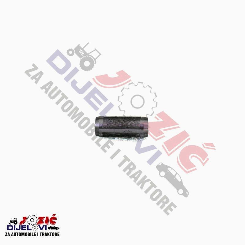 Daisy on the Ohoopee