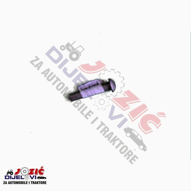 Daisy on the Ohoopee