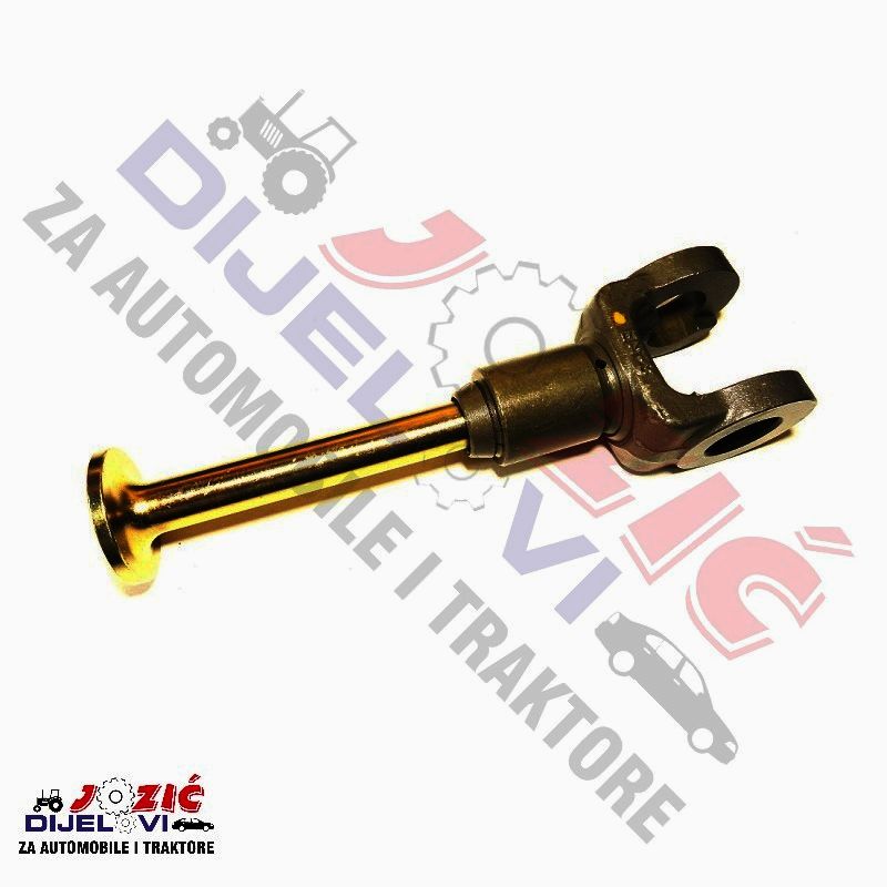 Daisy on the Ohoopee