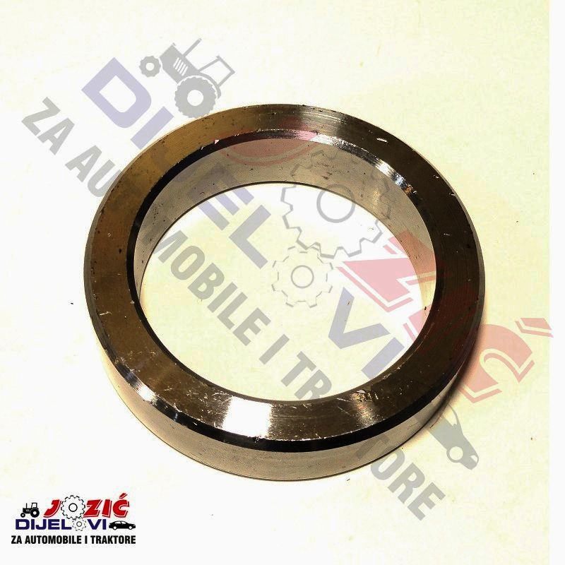 Daisy on the Ohoopee