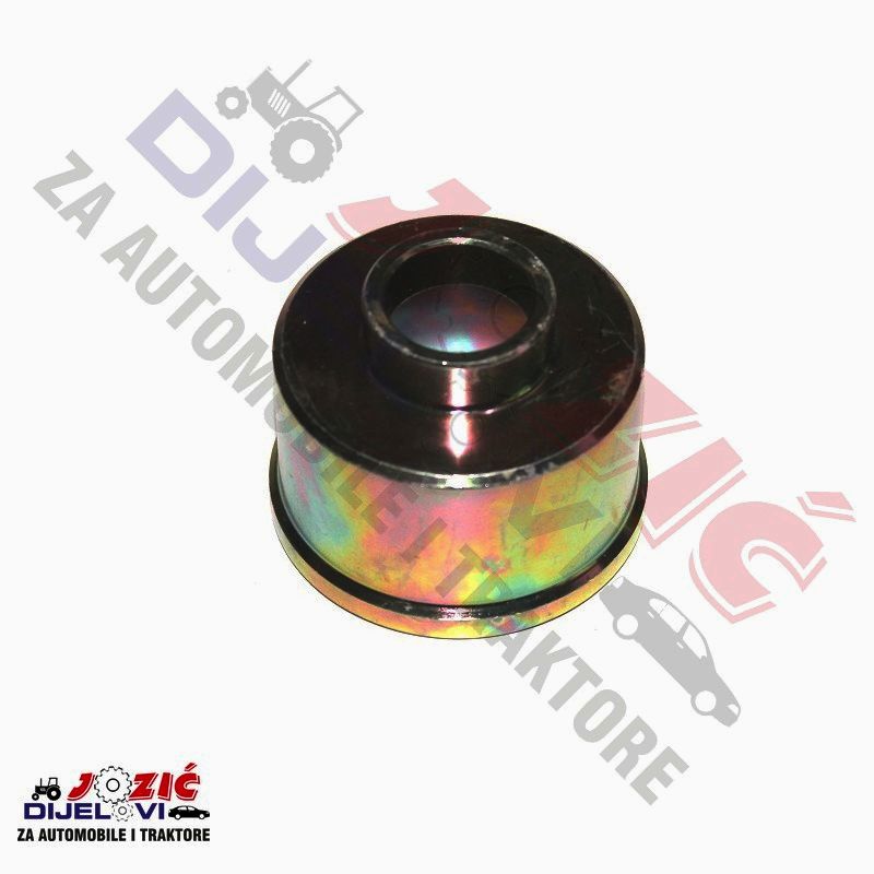 Daisy on the Ohoopee