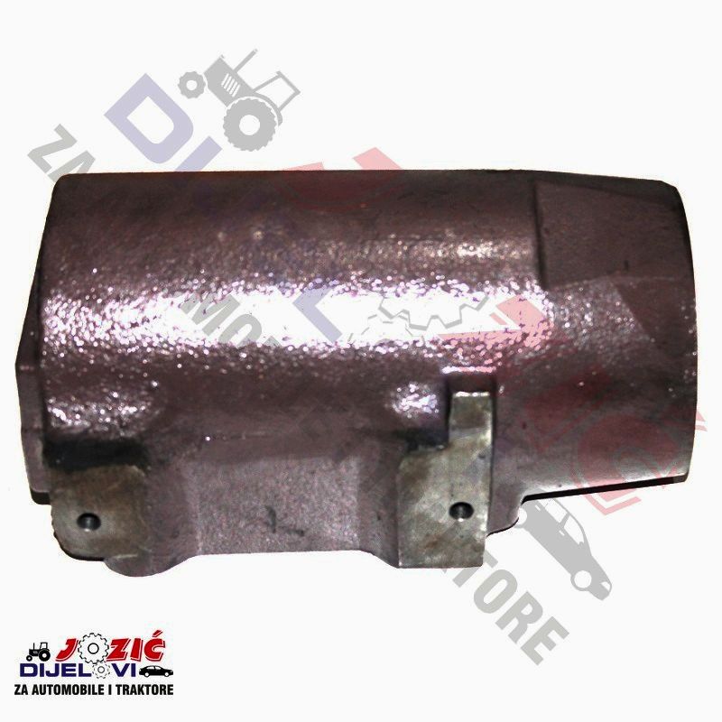 Daisy on the Ohoopee