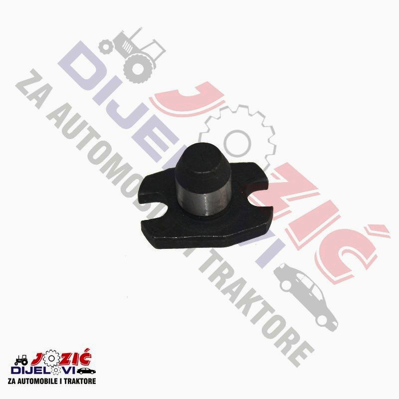 Daisy on the Ohoopee