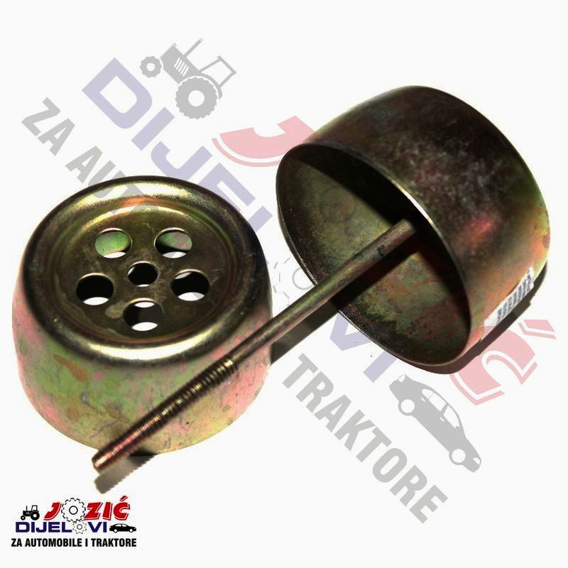 Daisy on the Ohoopee