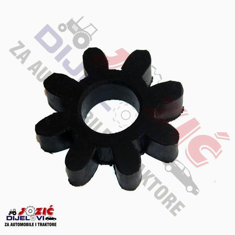 Daisy on the Ohoopee