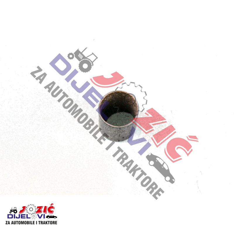 Daisy on the Ohoopee