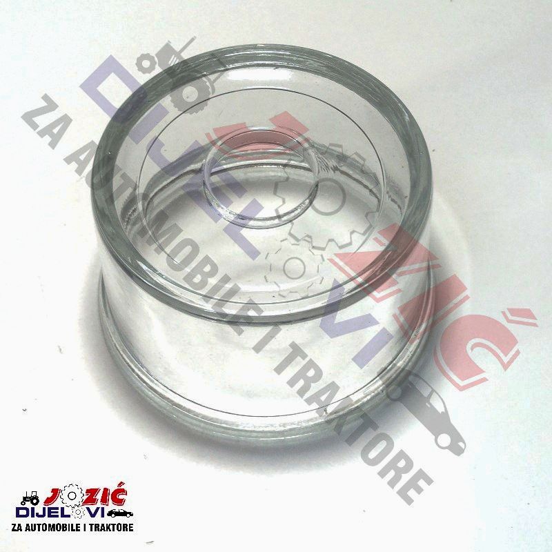 Daisy on the Ohoopee