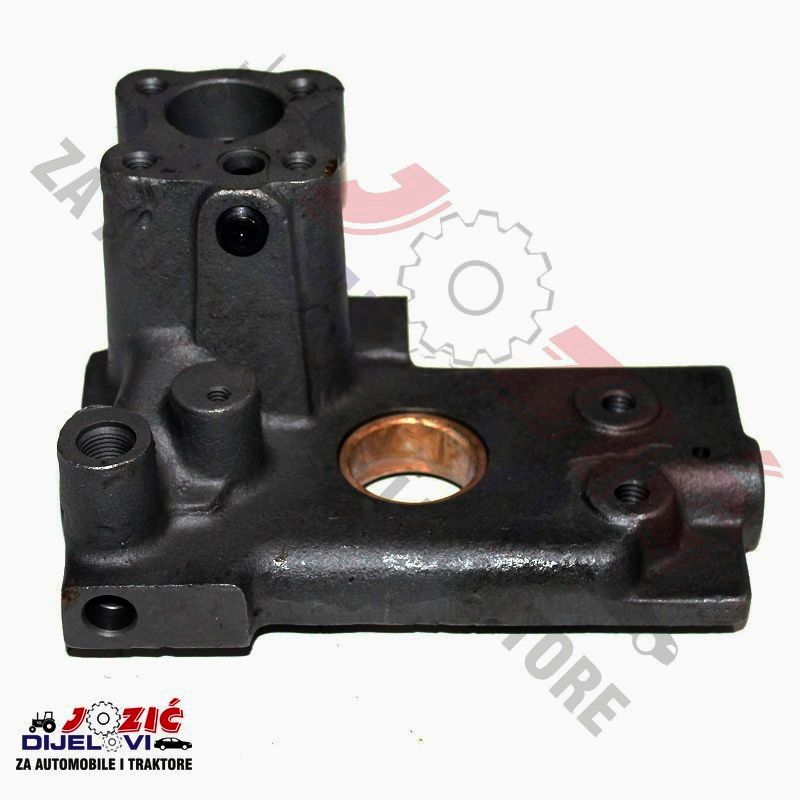 Daisy on the Ohoopee