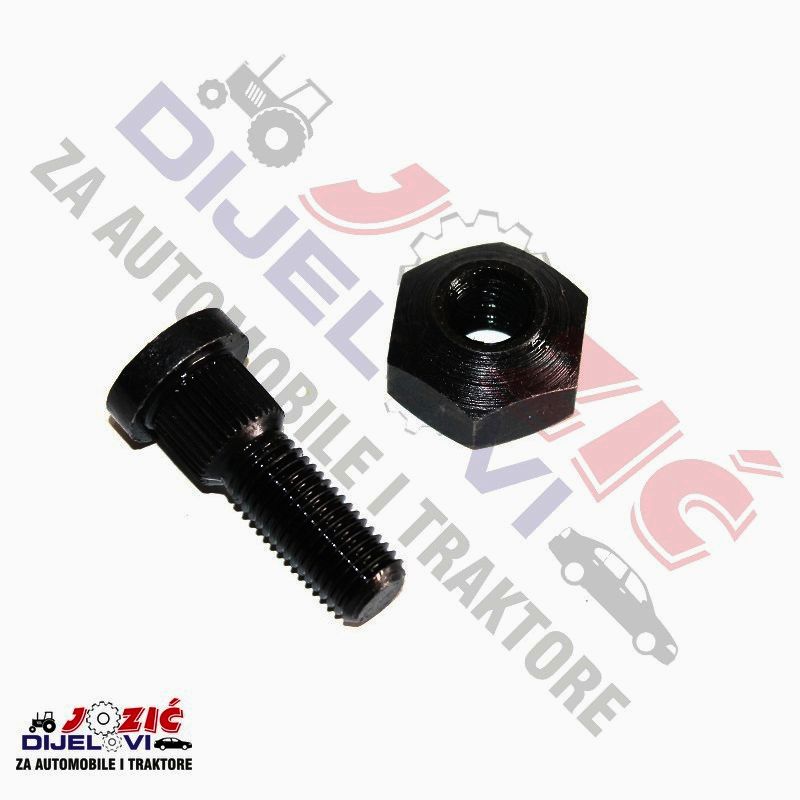 Daisy on the Ohoopee