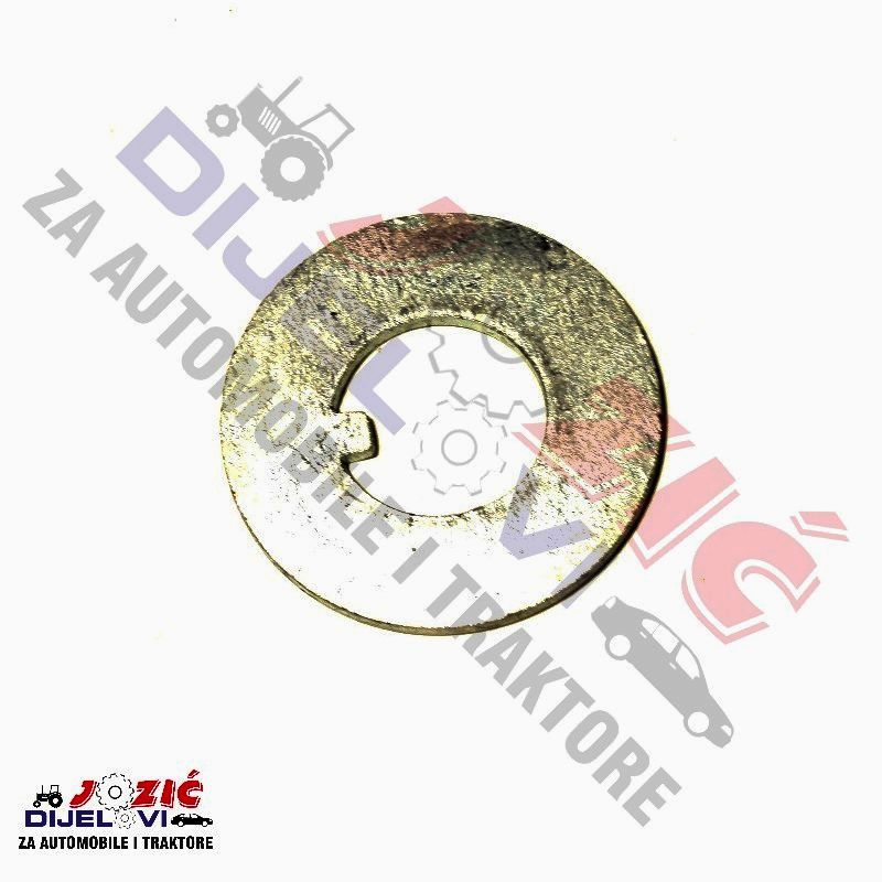 Daisy on the Ohoopee