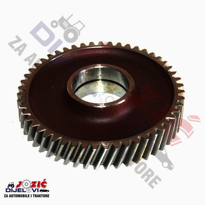 Daisy on the Ohoopee