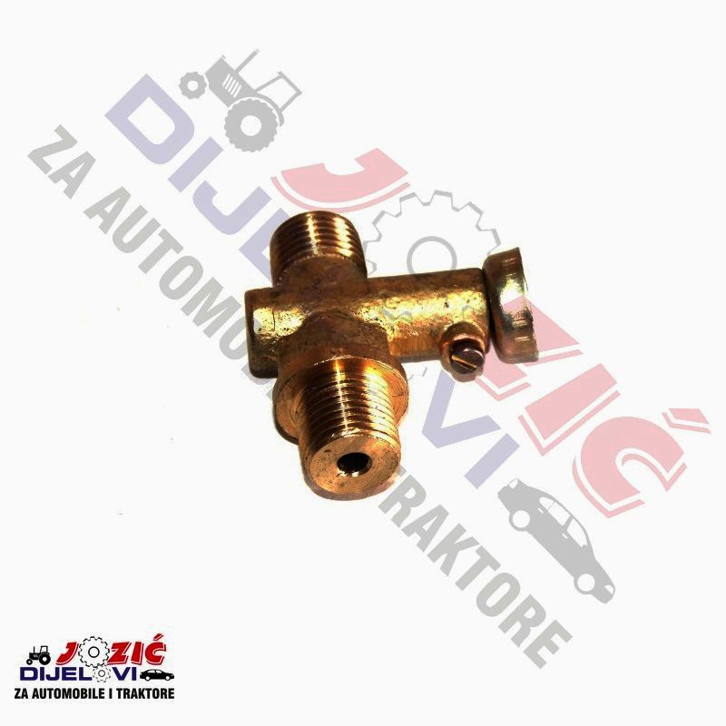 Daisy on the Ohoopee