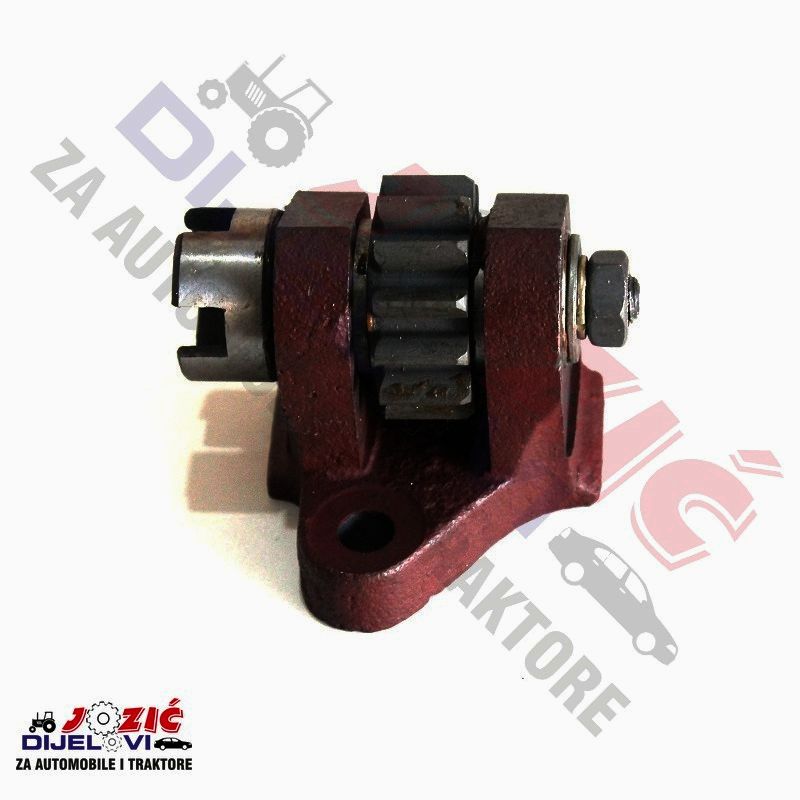 Daisy on the Ohoopee