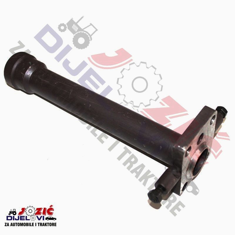 Daisy on the Ohoopee