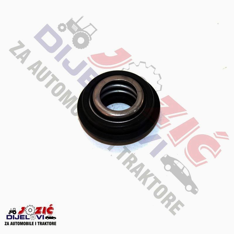 Daisy on the Ohoopee