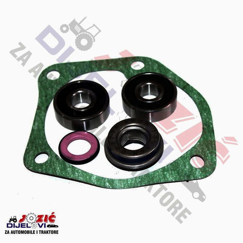 Daisy on the Ohoopee