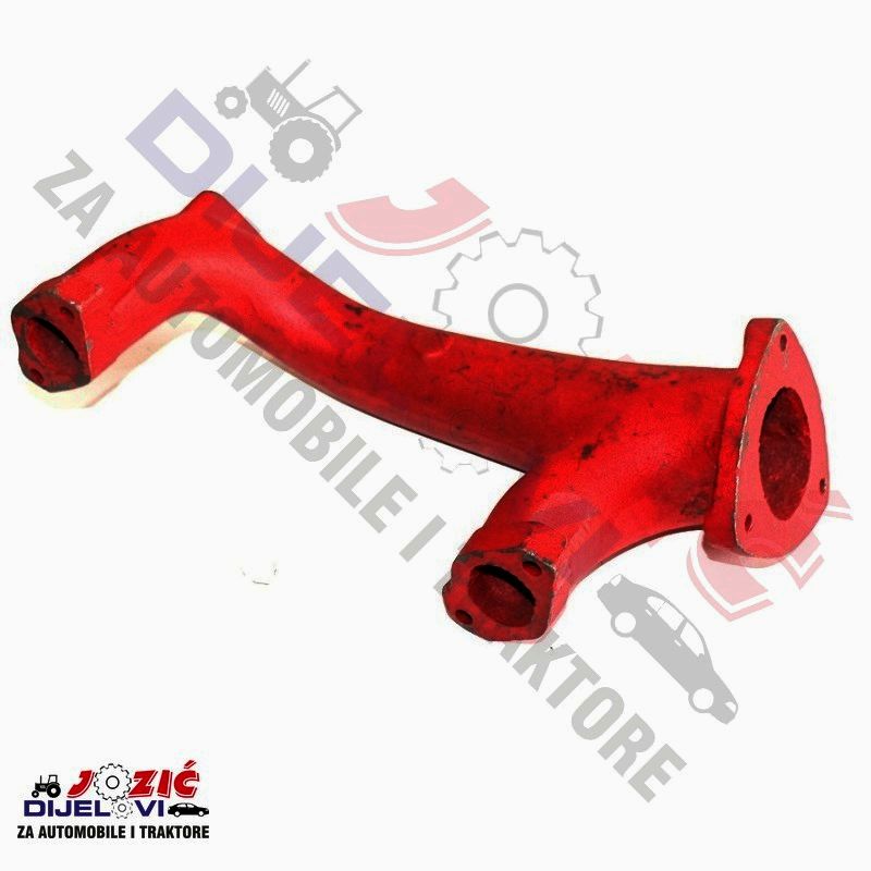 Daisy on the Ohoopee