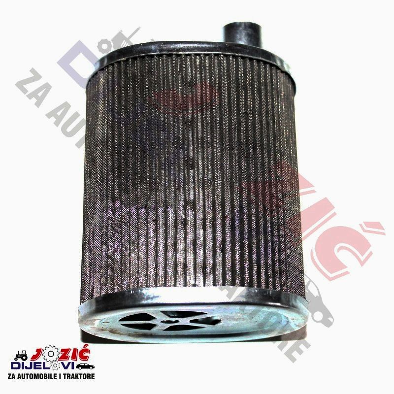 Daisy on the Ohoopee