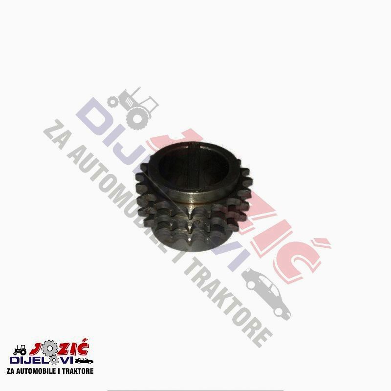 Daisy on the Ohoopee