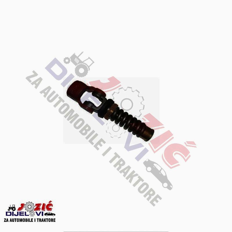 Daisy on the Ohoopee