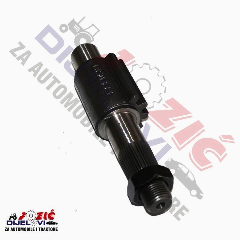 Daisy on the Ohoopee