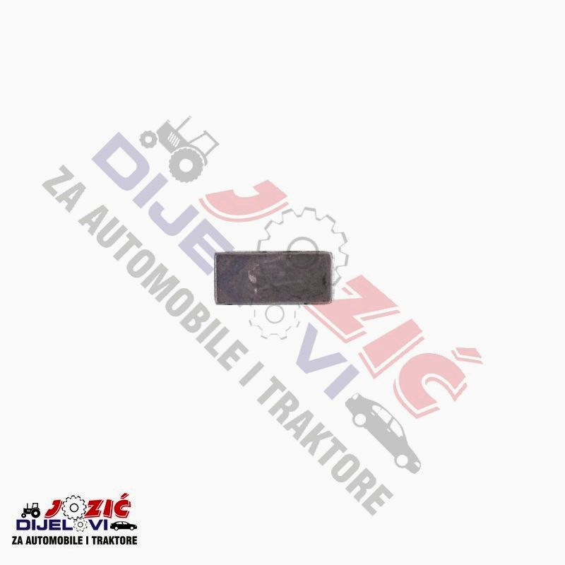 Daisy on the Ohoopee