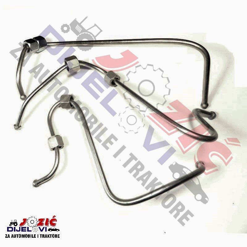 Daisy on the Ohoopee