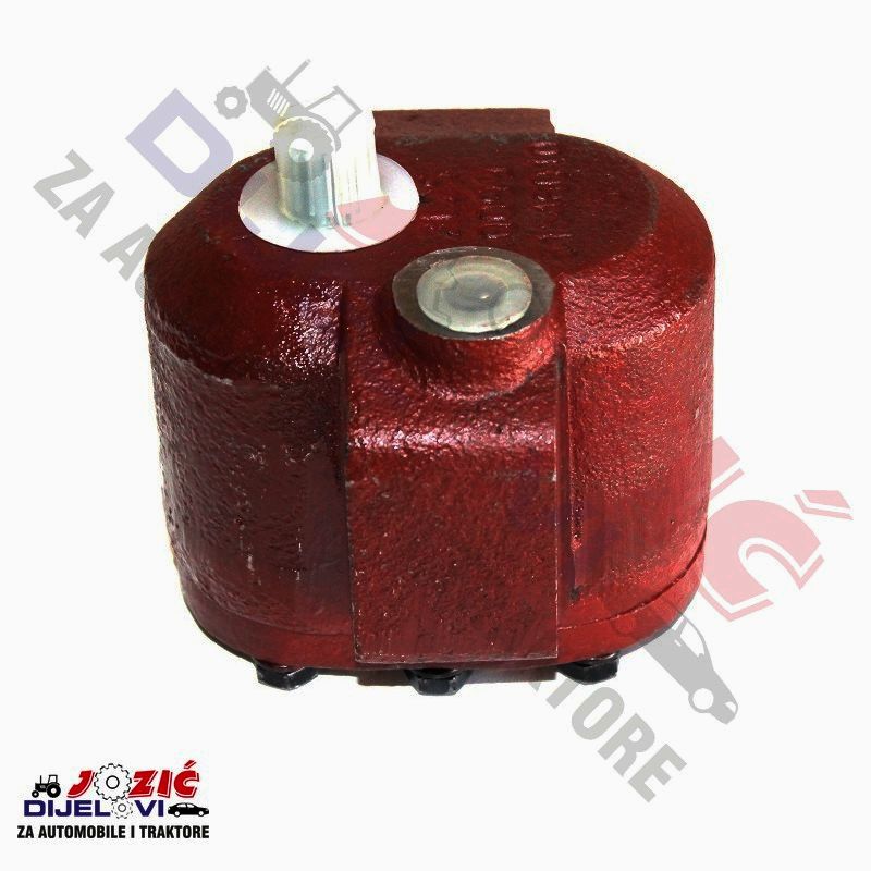 Daisy on the Ohoopee