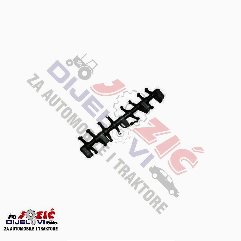 Daisy on the Ohoopee