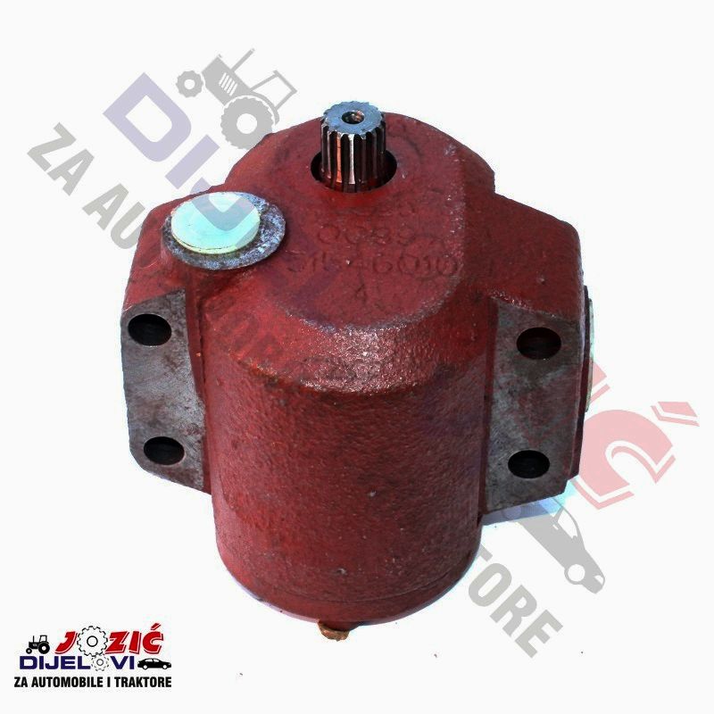 Daisy on the Ohoopee